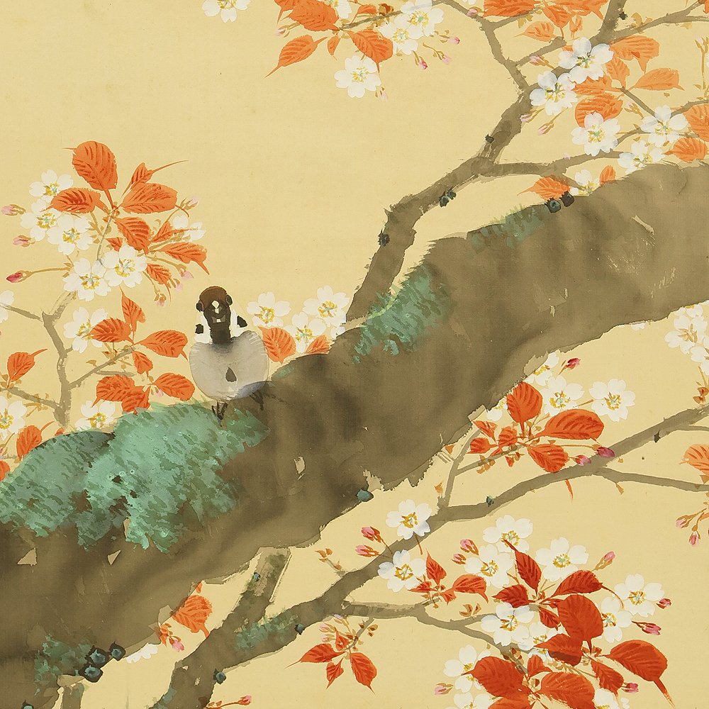 Mountain Cherry Blossom and Sparrow with Original Box (Tomobako) - with signature and seal - Japani (Ei pohjahintaa) #1.0