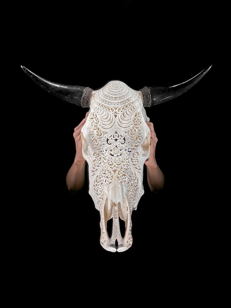 Χωρίς ελάχιστη τιμή - Εντυπωτικό μεγάλο λευκό χειροποίητο κρανίο ταύρου - Μοτίβο Badong Λαξεμένο κρανίο - Bos Taurus - 55 cm - 58 cm - 17 cm- Είδη που δεν ανήκουν στο CITES -  (1) #1.0