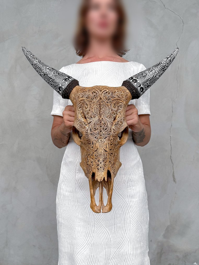 無底價 - 令人驚嘆的棕色牛頭骨，帶有波西米亞風格的雕刻角 - 小蓮花圖案- 雕刻頭骨 - Bos Taurus - 56 cm - 55 cm - 16 cm- 非《瀕臨絕種野生動植物國際貿易公約》物種 -  (1) #2.1