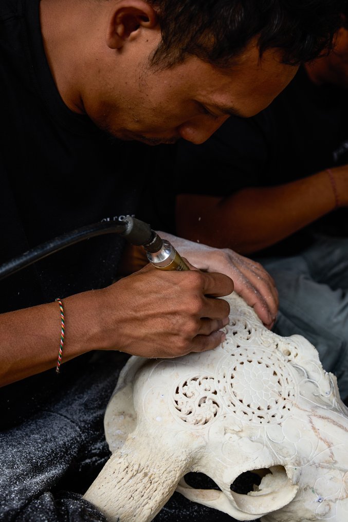 Χωρίς ελάχιστη τιμή - Εντυπωτικό μεγάλο χειροποίητο ξυλογραμμένο κρανίο ταύρου καφέ - Μοτίβο Λαξεμένο κρανίο - Bos Taurus - 59 cm - 66 cm - 17 cm- Είδη που δεν ανήκουν στο CITES -  (1) #3.2