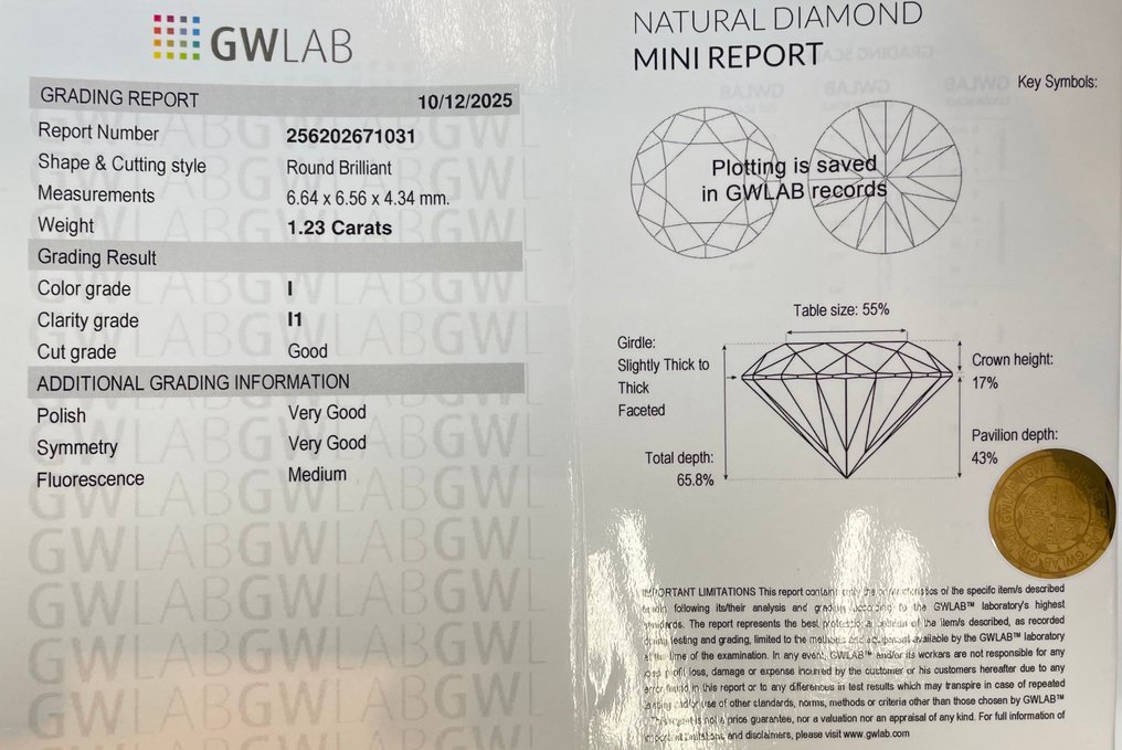 Utan reservationspris - 1 pcs Diamant (Natural) - 1.23 ct - Rund - I - I1 - Gemewizard Gemological Laboratory (GWLab) #2.1