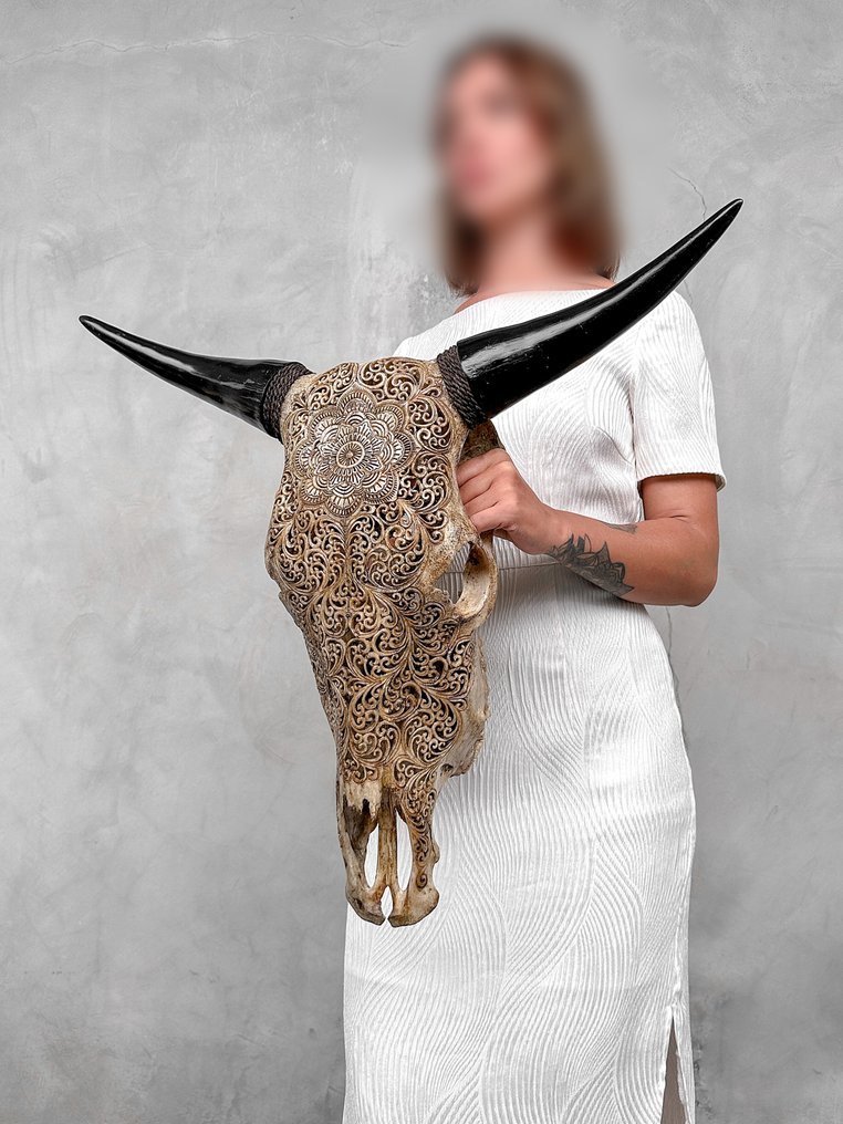 Χωρίς ελάχιστη τιμή - Εντυπωτικό μεγάλο χειροποίητο ξυλογραμμένο κρανίο ταύρου καφέ - Μοτίβο Λαξεμένο κρανίο - Bos Taurus - 59 cm - 66 cm - 17 cm- Είδη που δεν ανήκουν στο CITES -  (1) #1.0