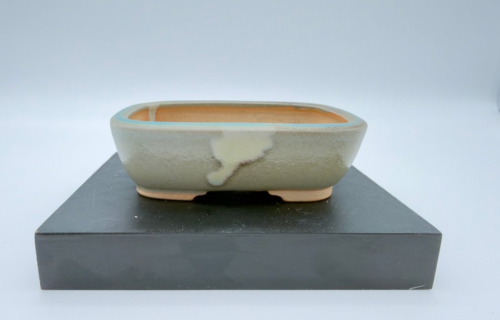 珐琅盆栽盆 – 签名:秀世之盆 – 中国 – 13×10×5厘米 – 现代工艺 - 石器, 陶瓷, Terracotta - Xiùshì Zhīpén 秀世之盆 - 中国 - 20世纪 #1.0