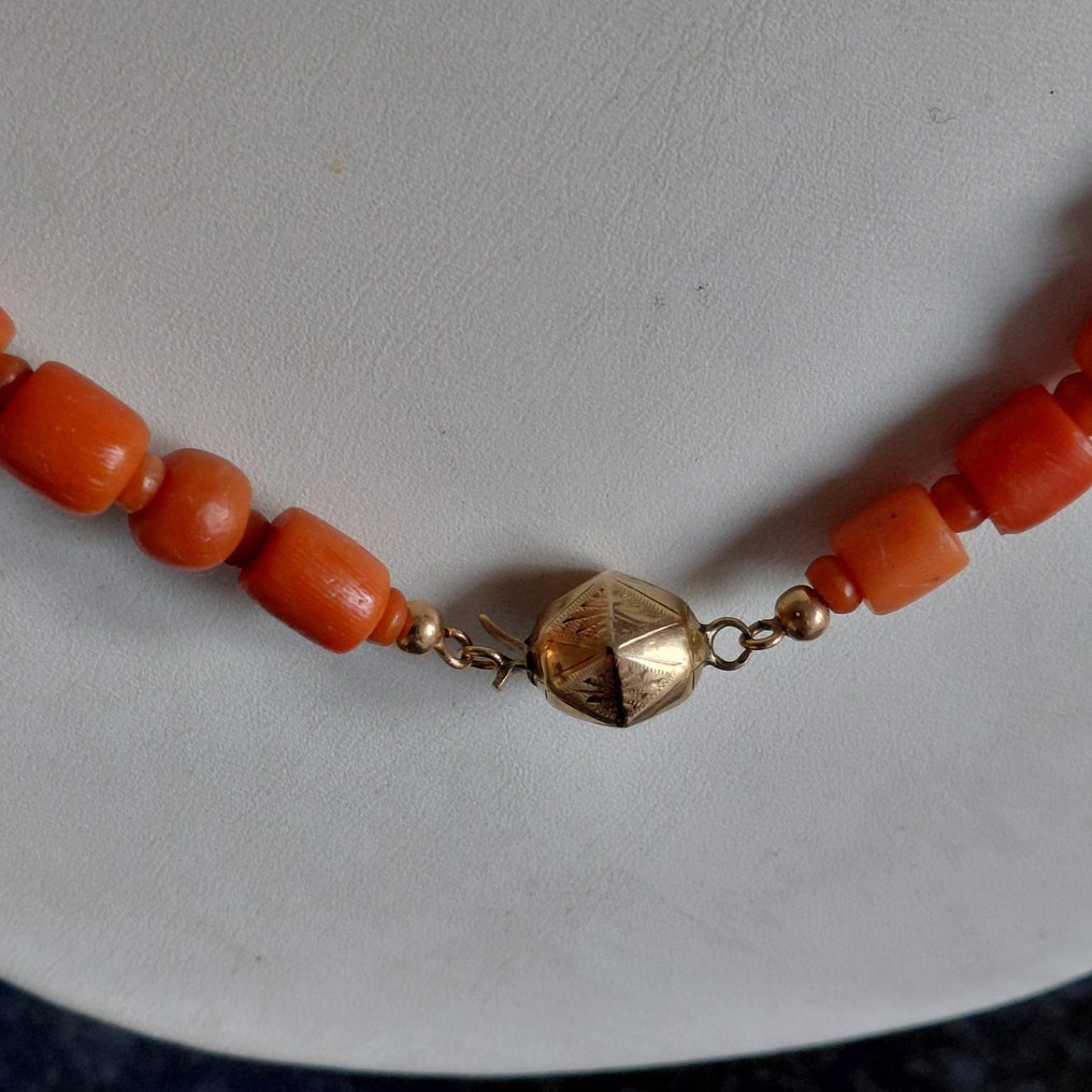 Sans prix de réserve - Collier - 14 carats Or jaune Corail rouge - Corail rouge #4.3