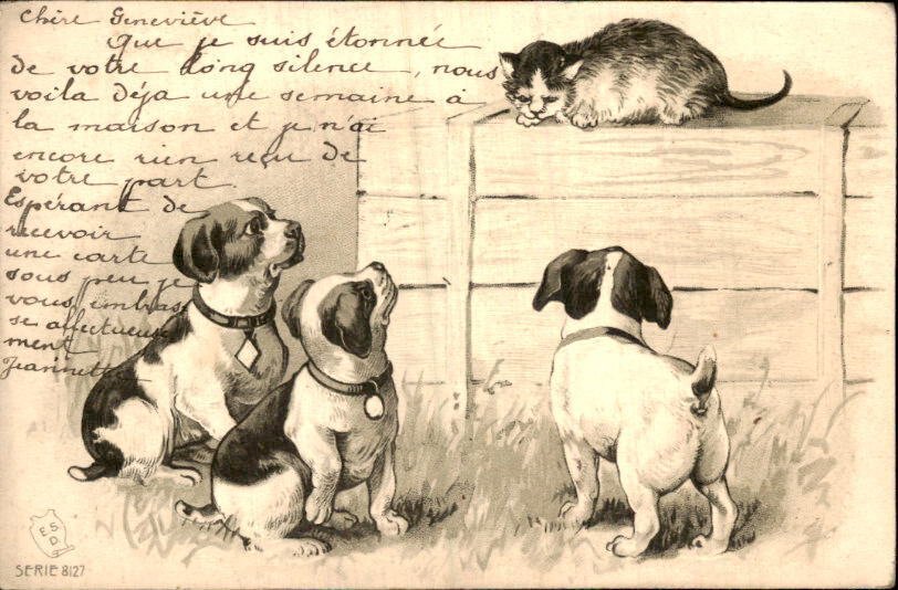 动物, 幻想, 猫 - 猫咪 - 猫 - 猫 - 明信片 (45) - 1900-1970 #2.1