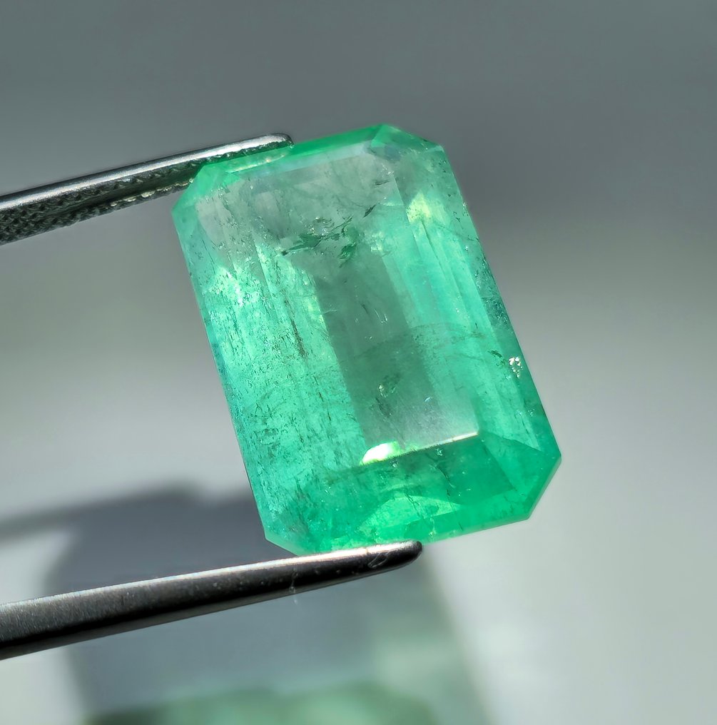 1 pcs Groen Smaragd - 18.29 ct - International Gemological Institute (IGI) #1.0