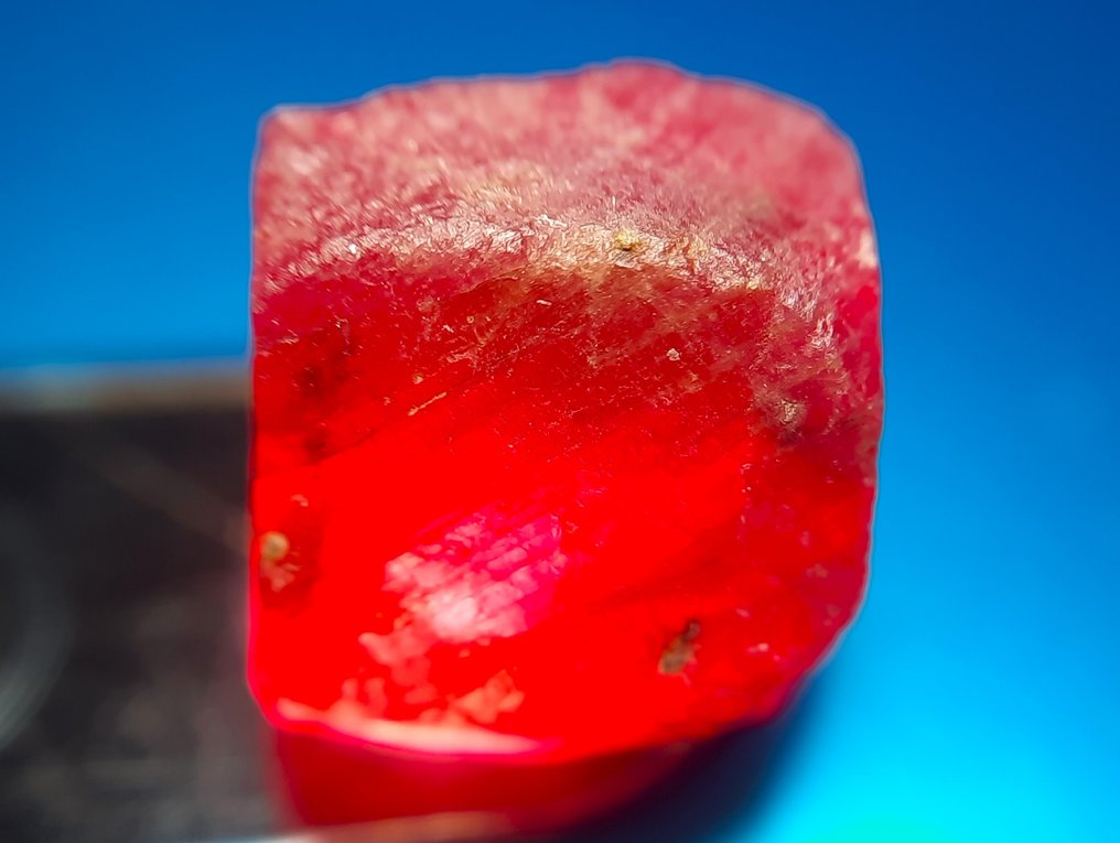 13,2 ct - käsittelemätön luonnollinen rubiini Karkea- 2.64 g #1.0