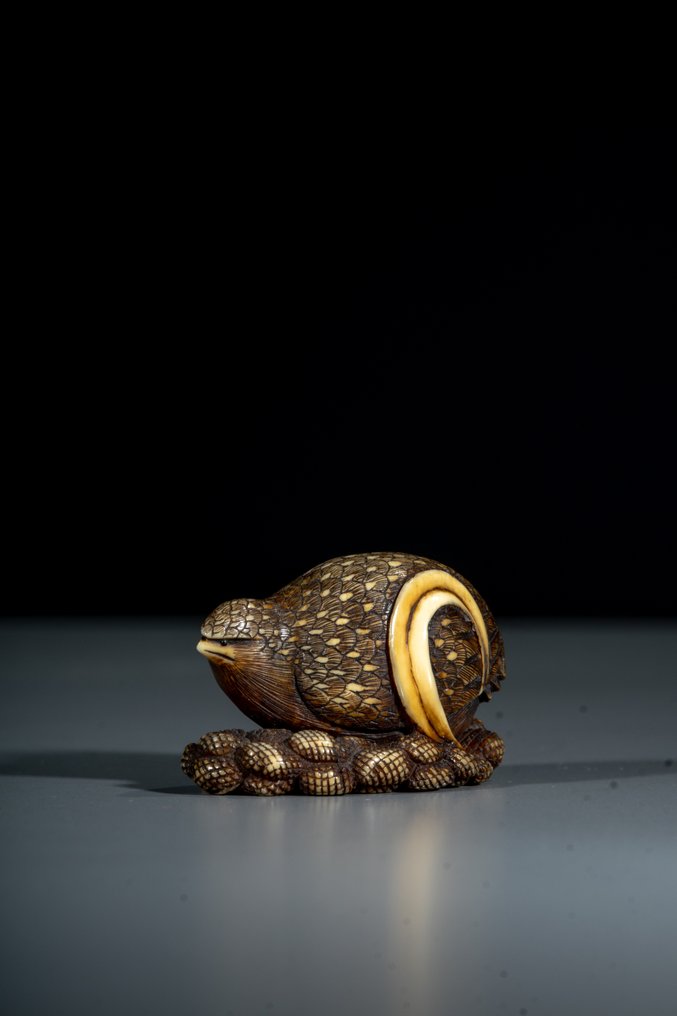 Et fint ivory netsuke, der skildrer en smuk due på hvede. - Elfenben - Signed Masakazu 政いち - Japan - Edo-perioden (det 19. århundrede) #4.3