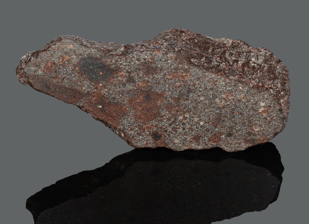 NWA 869 meteorite Nice piece - 1455 g - (1) #1.0
