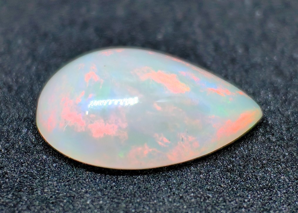 No reserve price - 1 pcs Opal - 3.20 ct - Antwerp Laboratory for Gemstone Testing (ALGT) #1.0