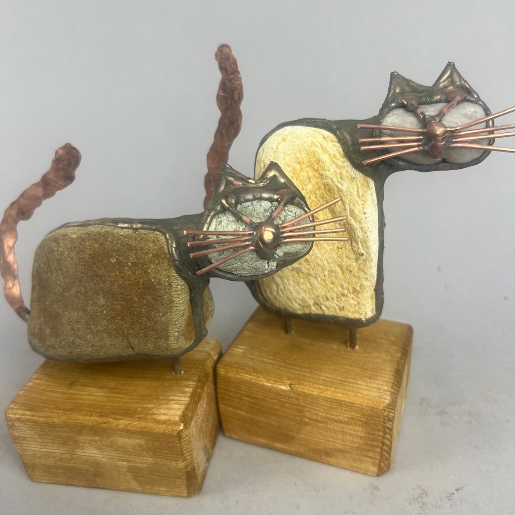 Dariusz Drzymała (XX-XXI) - NO RESERVE- 2 CATS #2.1