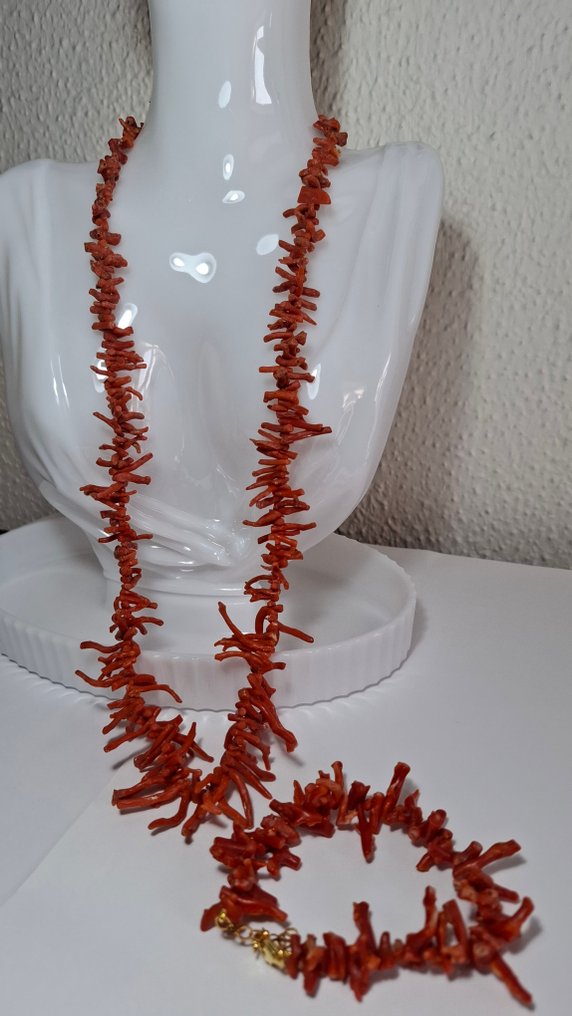 Red Coral 珊瑚 - Corallo rubrium  (没有保留价) #1.0