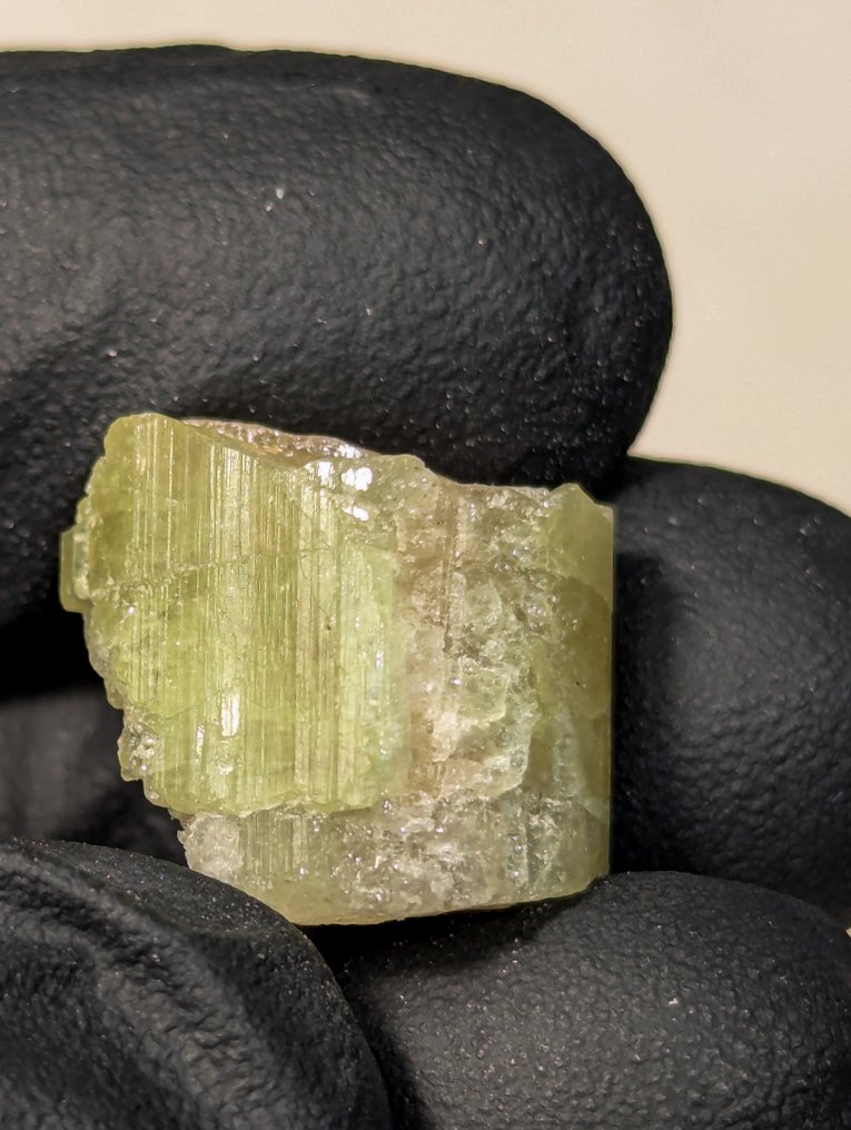 394 ct - Lot of Natural Tourmaline Crystals, Pink and Green from Brazil Rough - Height: 28 mm - Width: 6 mm- 78.8 g - (52) #4.3