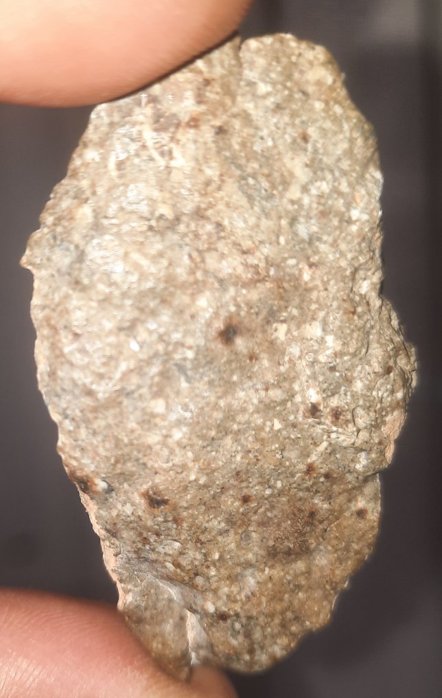 NWA 17627 - meteorite HED achondrite - Diogenite (noritic) - Height: 52 cm - Width: 33 cm - 16 g - (1) #4.3