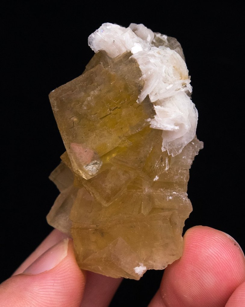 Heldergele fluoriet Met bariet - Hoogte: 4.9 cm - Breedte: 3.3 cm- 42 g - (1) #2.1