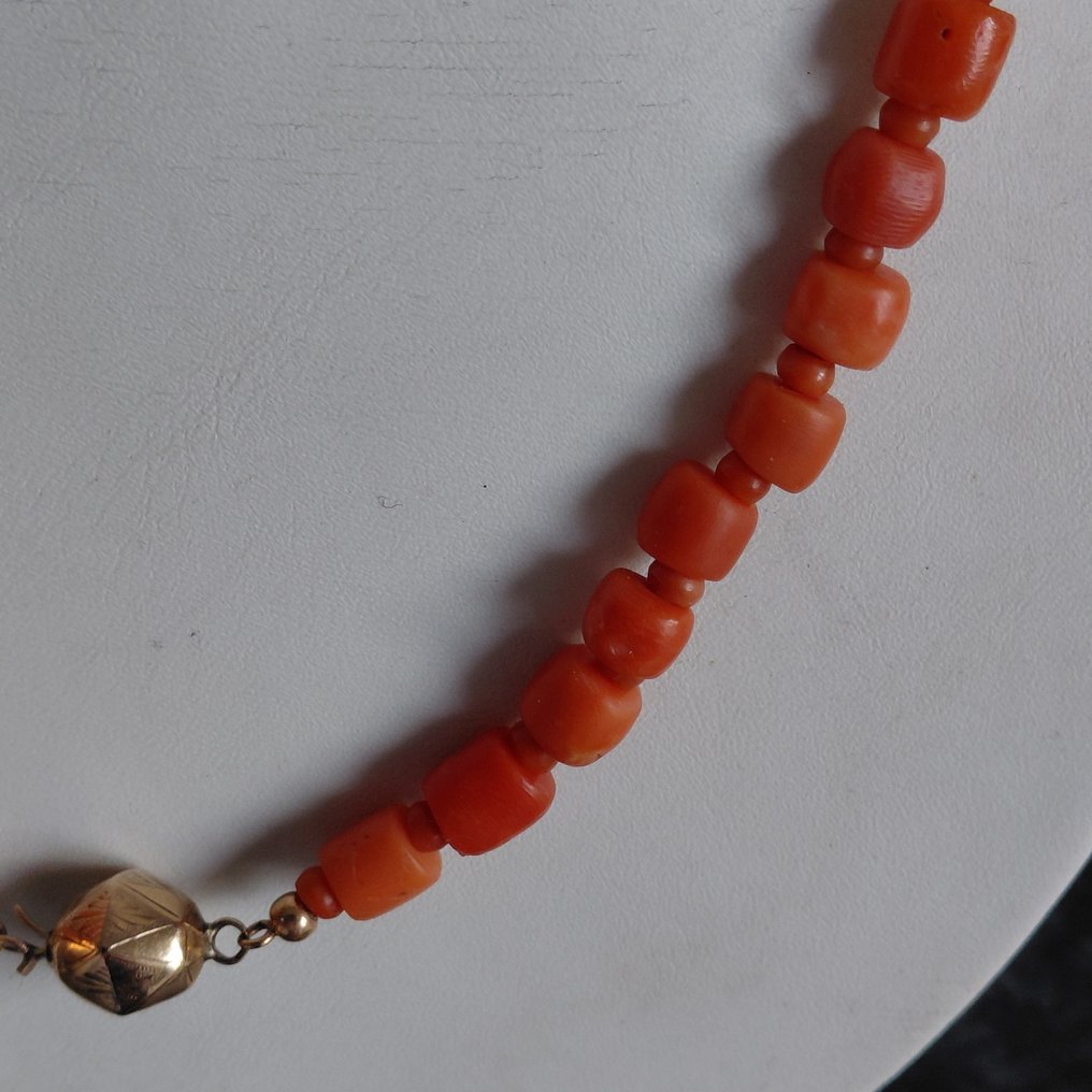 Sans prix de réserve - Collier - 14 carats Or jaune Corail rouge - Corail rouge #3.2