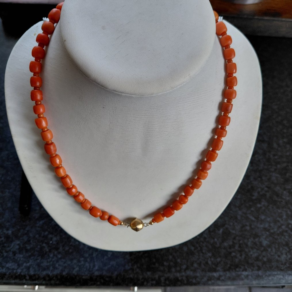 Sans prix de réserve - Collier - 14 carats Or jaune Corail rouge - Corail rouge #2.1