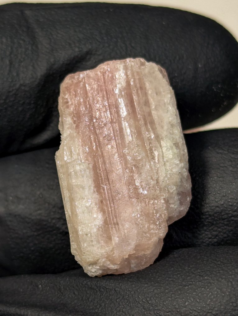 394 ct - Lot of Natural Tourmaline Crystals, Pink and Green from Brazil Rough - Height: 28 mm - Width: 6 mm- 78.8 g - (52) #3.2