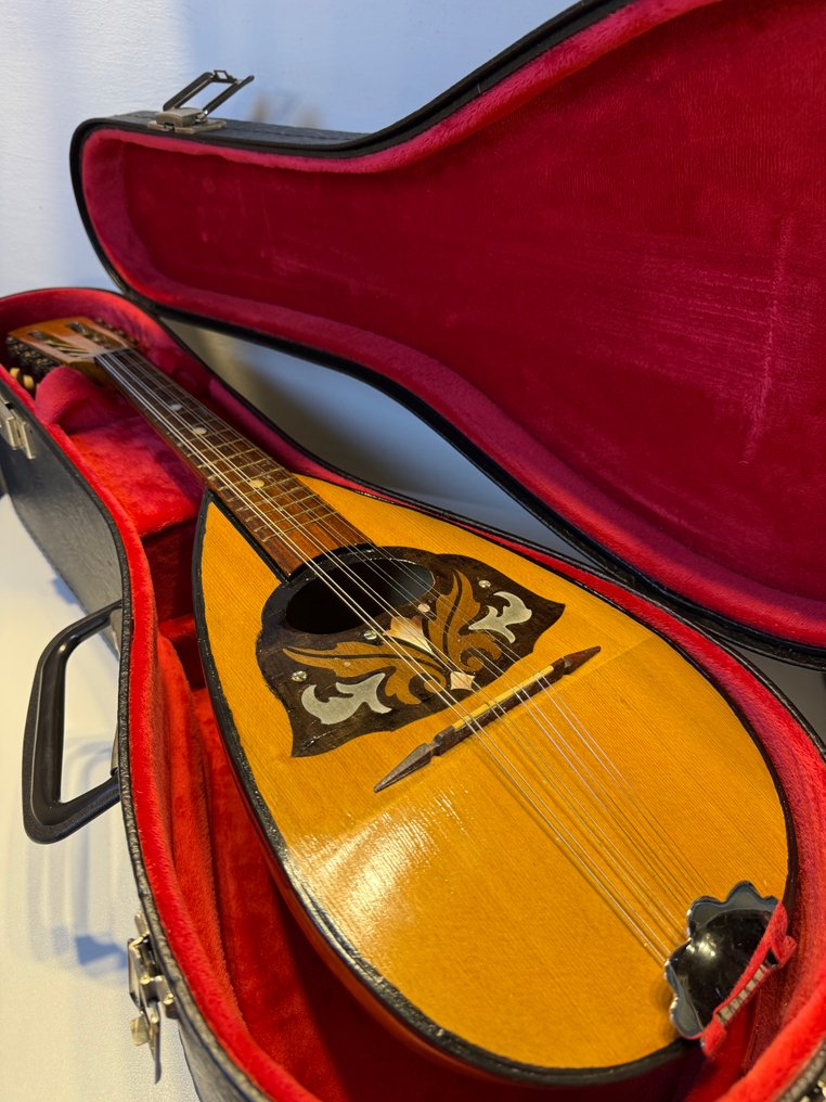 No brand - - Mandolin (No reserve price) #1.0