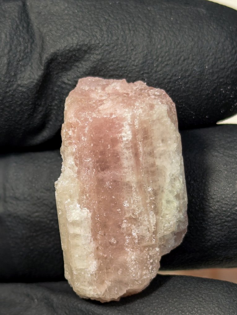 394 ct - Lot of Natural Tourmaline Crystals, Pink and Green from Brazil Rough - Height: 28 mm - Width: 6 mm- 78.8 g - (52) #2.1