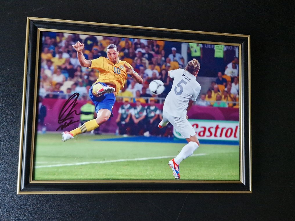 Zlatan Ibrahimović - Φωτογραφία #1.0