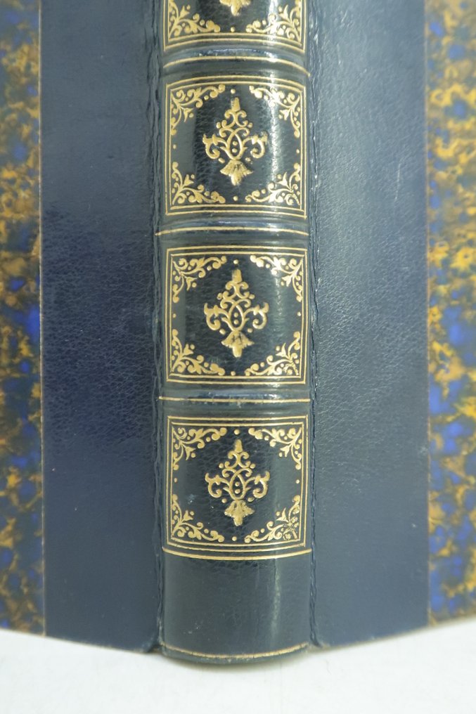 Jules Janin - Les Oiseaux bleus - 1864 #4.3