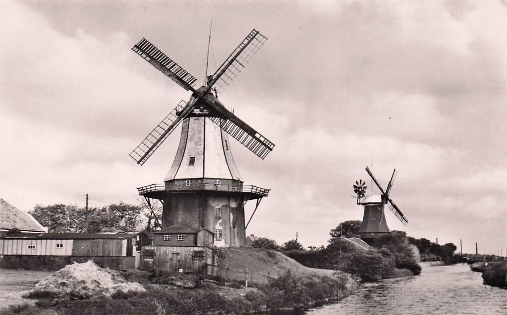 Morile din Țările de Jos, cu dimensiuni mici, dar și multe de format mare, color. - Carte poștală (175) - 1940-1980 #1.0