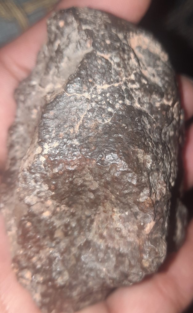 Chondrit NWA 869 - Meteoriten gewöhnlicher Chondrit L3-6 - Höhe: 76 cm - Breite: 50 cm - 244 g - (1) #2.1