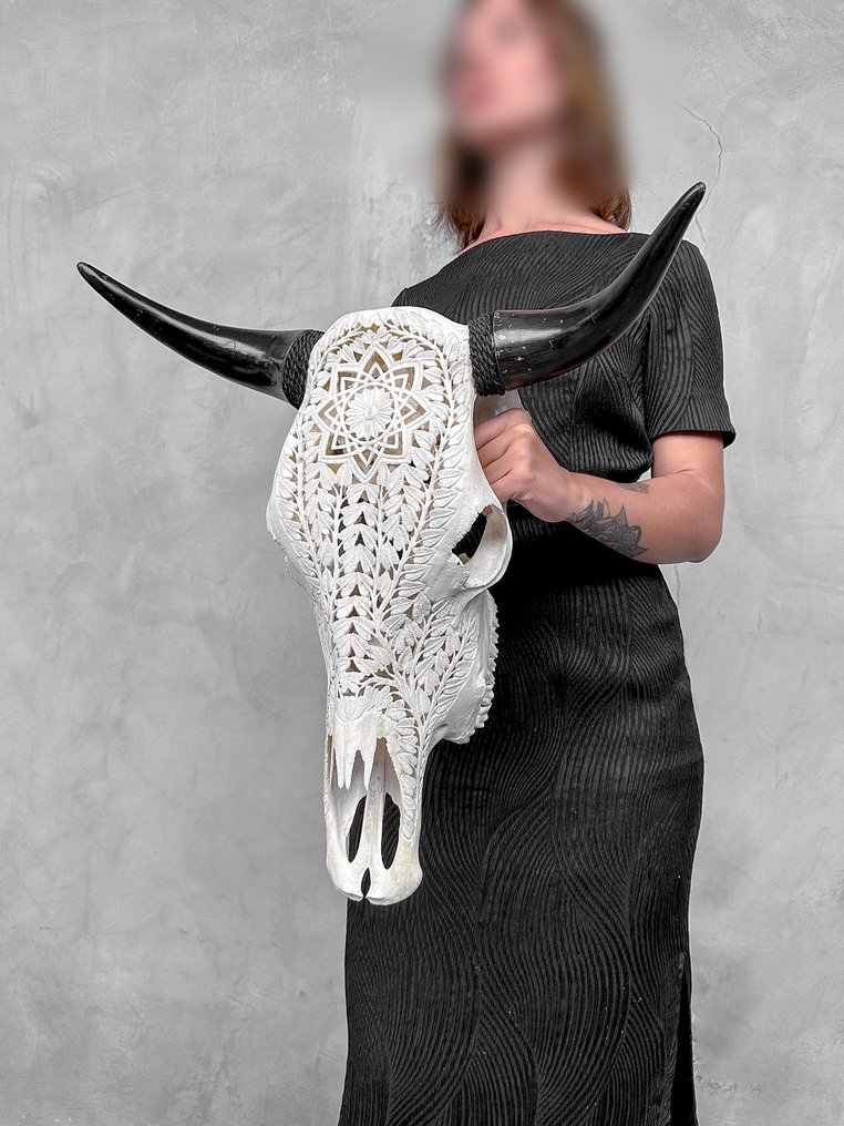 无底价 - 大型白色雕刻公牛头骨 - 星星曼陀罗图案 雕刻的颅骨 - Bos Taurus - 53 cm - 53 cm - 20 cm- 非《濒危物种公约》物种 #4.3