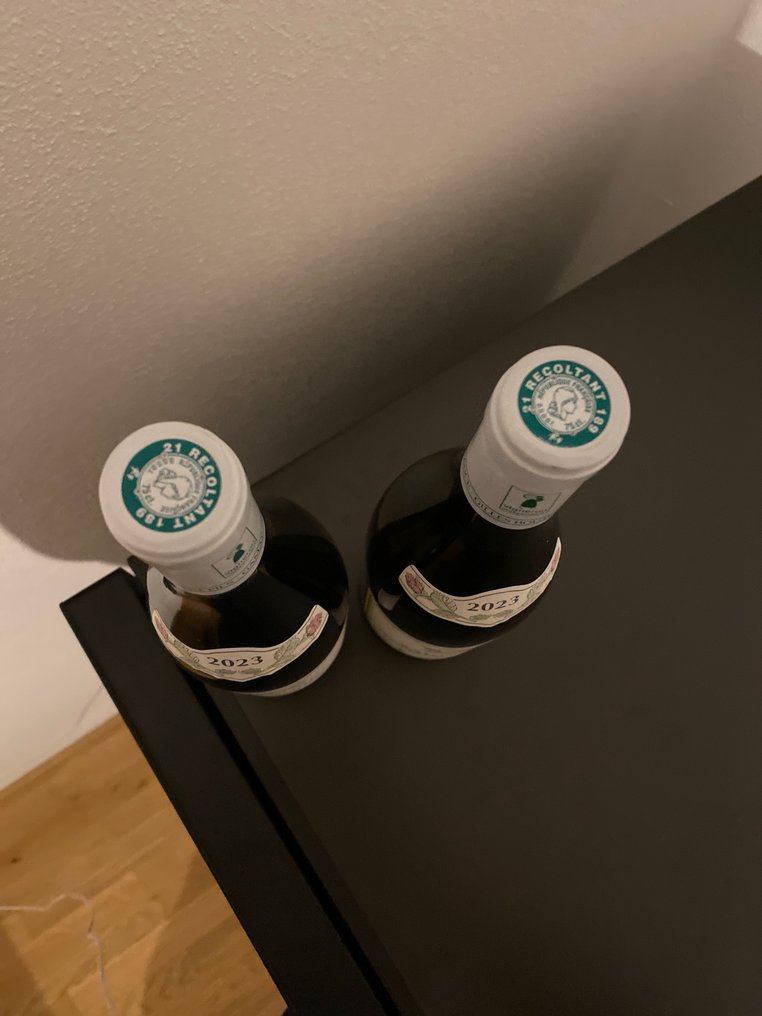 2023 Gilles Bouton & Fils  "Les Champlots" & "La Châtenière" - Saint-Aubin 1er Cru - 2 Bottles (0.75L) #3.2