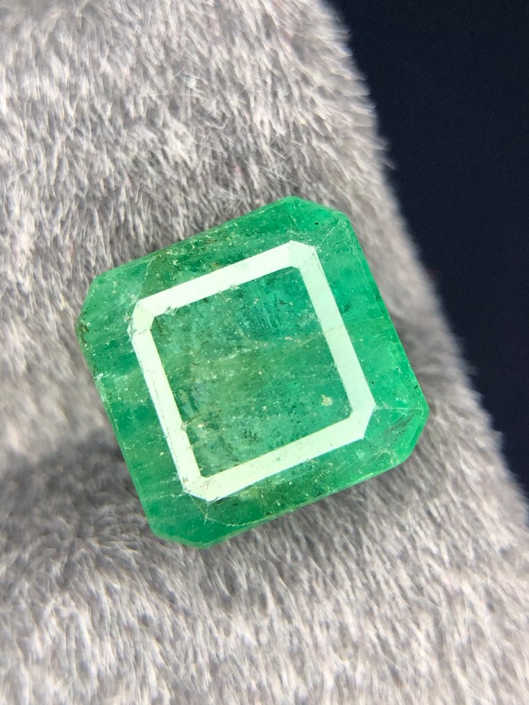 χωρίς τιμή ασφαλείας - 1 pcs  Πράσινο Σμαράγδι  - 5.99 ct - Διεθνής Ένωση Έγχρωμων Πολύτιμων Λίθων (ICA GemLab) - Τελείως κοπή σμαραγδένιου #59 #1.0