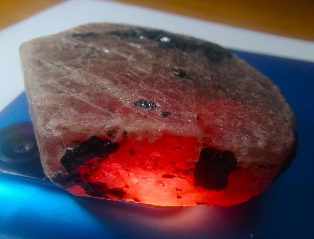 327 cts - ΤΕΡΑΣΤΙΟ Ανεπεξέργαστο Ρουμπί Τραχύς- 65.4 g #1.0