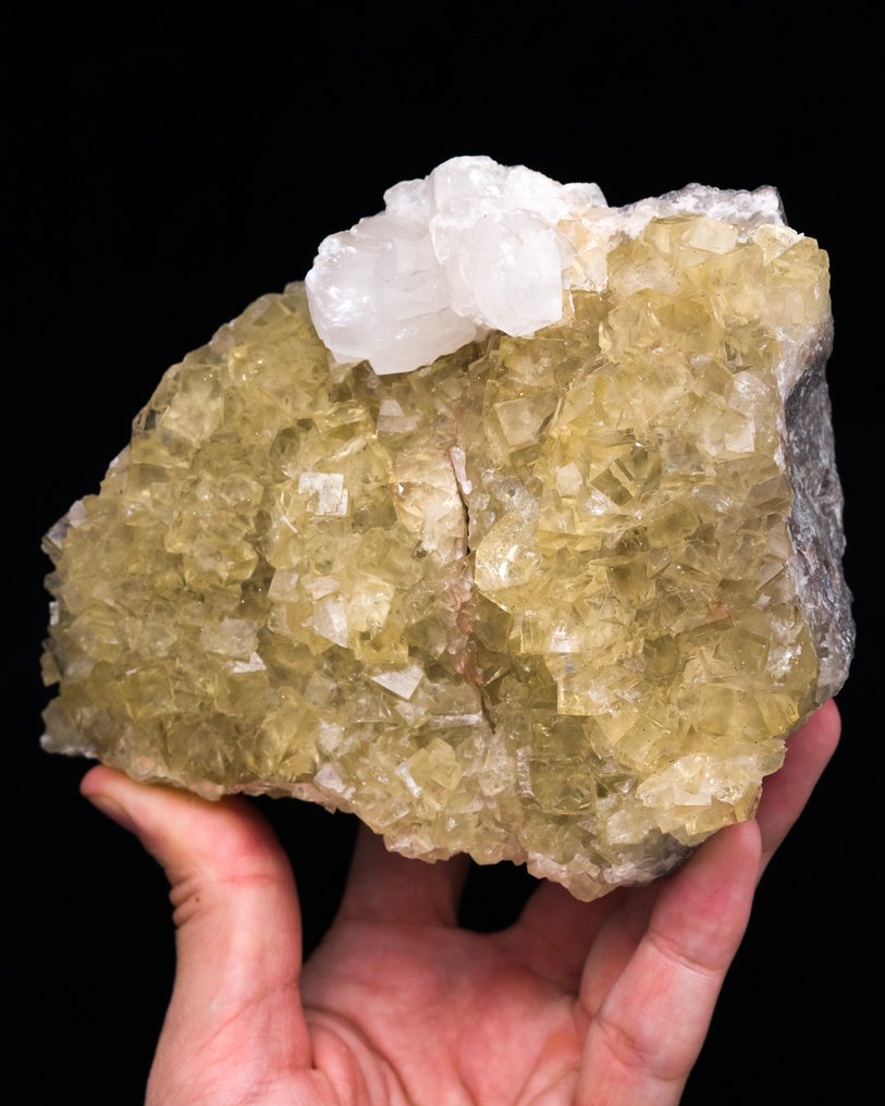 大型柜子，黄金萤石 带有斜方晶系方解石 - 高度: 11 cm - 宽度: 13.5 cm- 1019 g - (1) #3.2