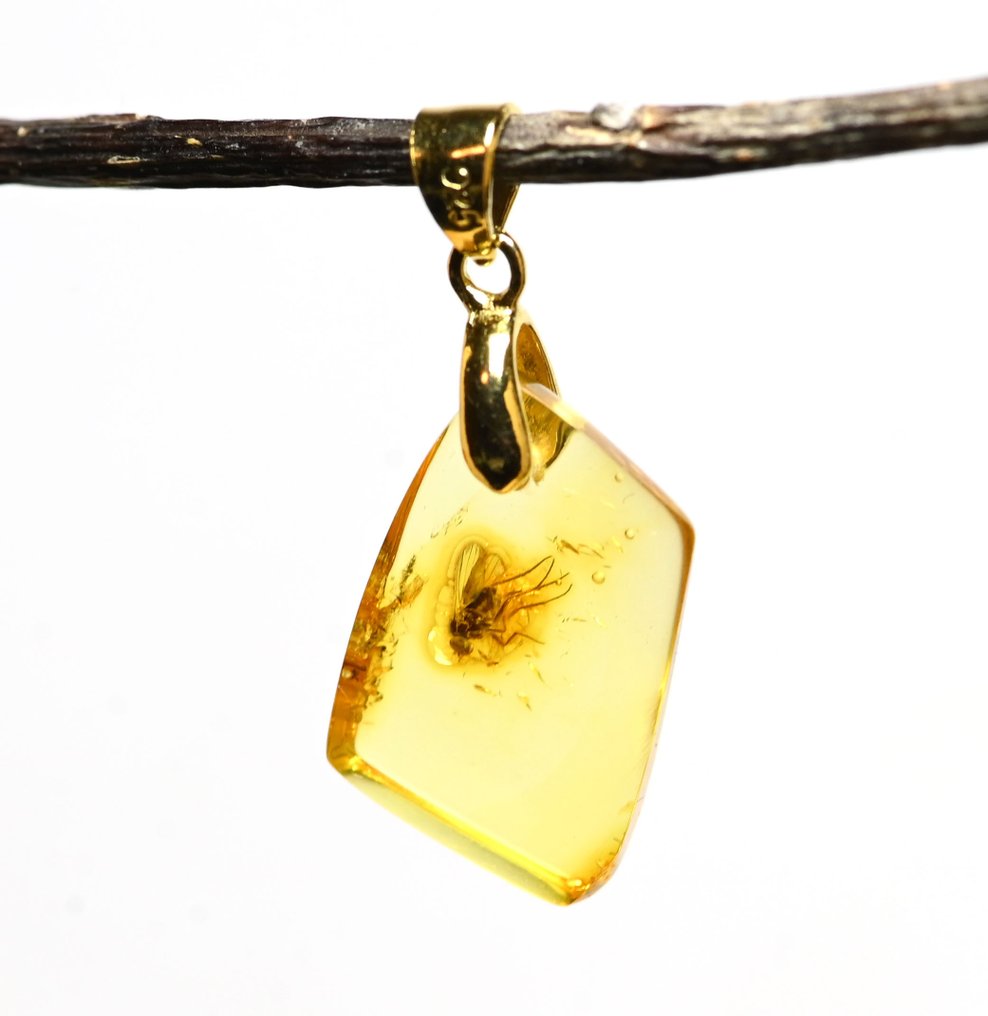 镀金波罗的海琥珀吊坠 - 内含长腿蝇科（Dolichopodidae）化石昆虫 - 光滑化石  (没有保留价) #2.1
