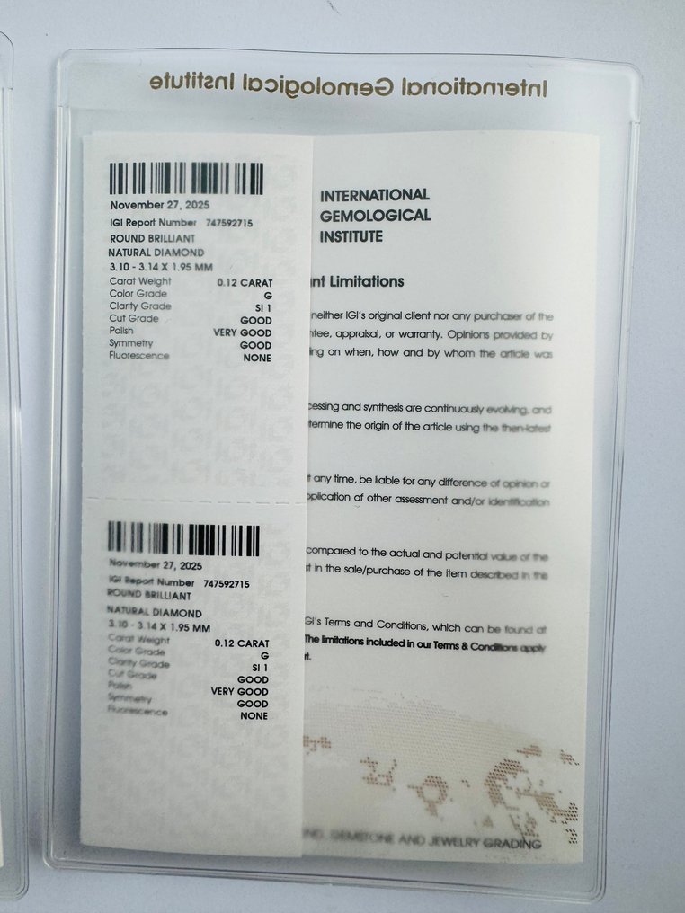 没有保留价 - 2 pcs 钻石  (天然)  - 0.22 ct - 圆形 - G, E - SI1 微内含一级 - 国际宝石研究院（IGI） - 一对 #3.2