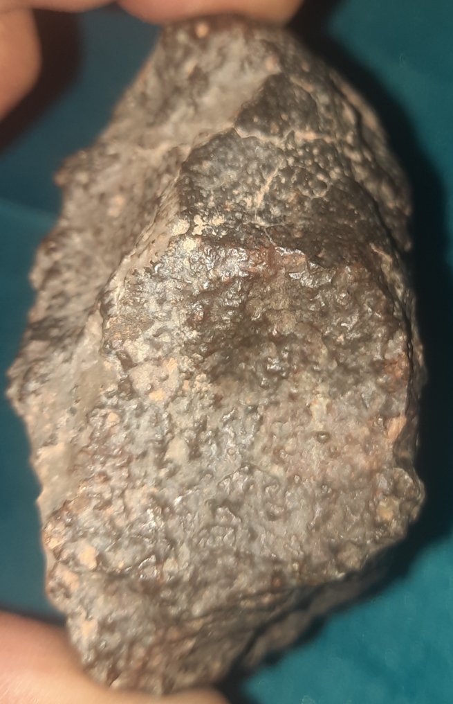 Chondrit NWA 869 - Meteoriten gewöhnlicher Chondrit L3-6 - Höhe: 76 cm - Breite: 50 cm - 244 g - (1) #3.2