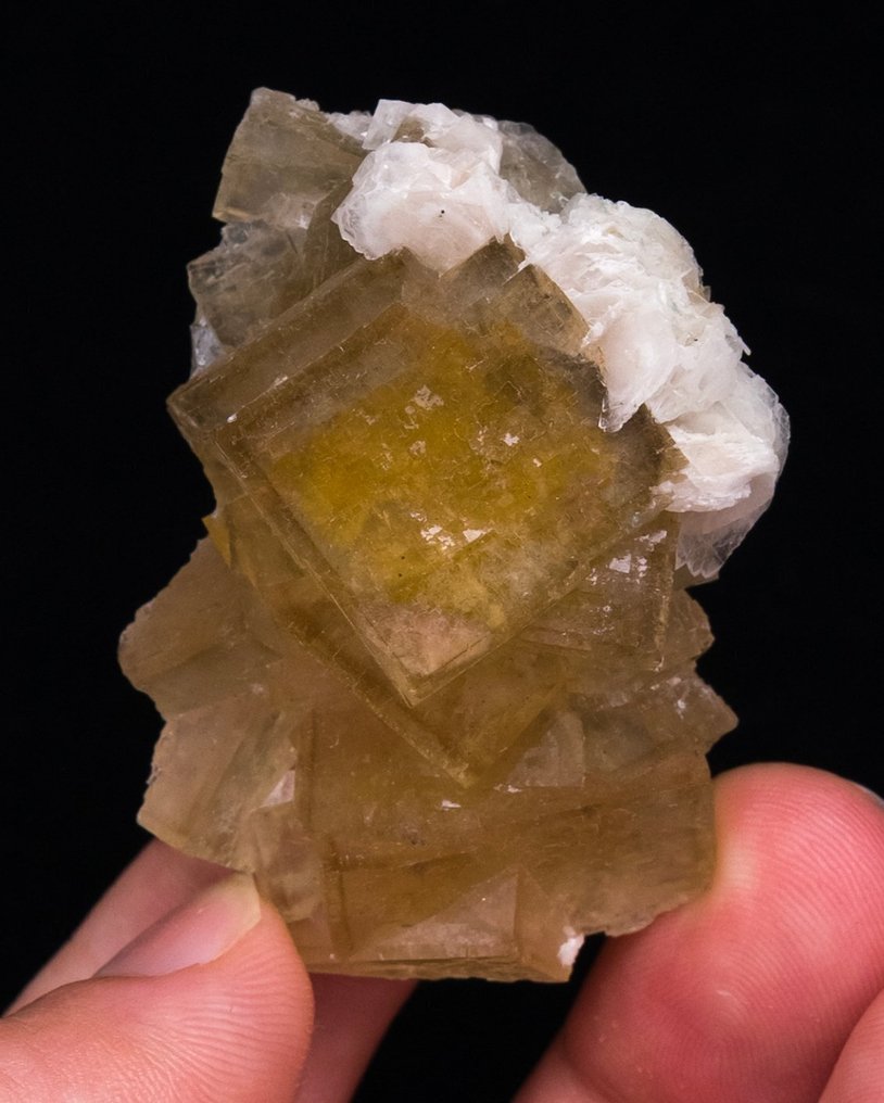 Heldergele fluoriet Met bariet - Hoogte: 4.9 cm - Breedte: 3.3 cm- 42 g - (1) #1.0