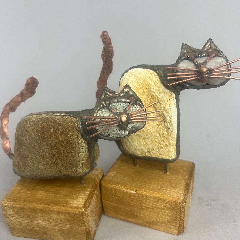 Dariusz Drzymała (XX-XXI) - NO RESERVE- 2 CATS #4.3