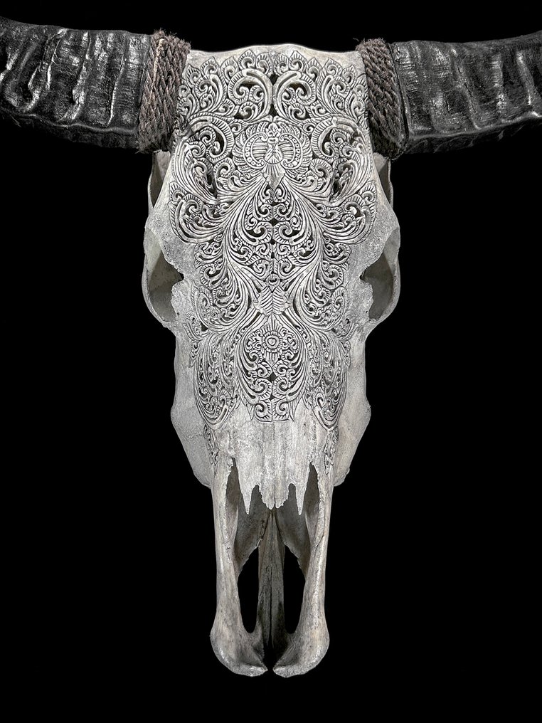 无底价 - 正品大型灰色雕刻水牛头骨 - 小莲花图案 雕刻頭骨 - Bubalus Bubalis - 65 cm - 74 cm - 18 cm- 非《瀕臨絕種野生動植物國際貿易公約》物種 -  (1) #1.0