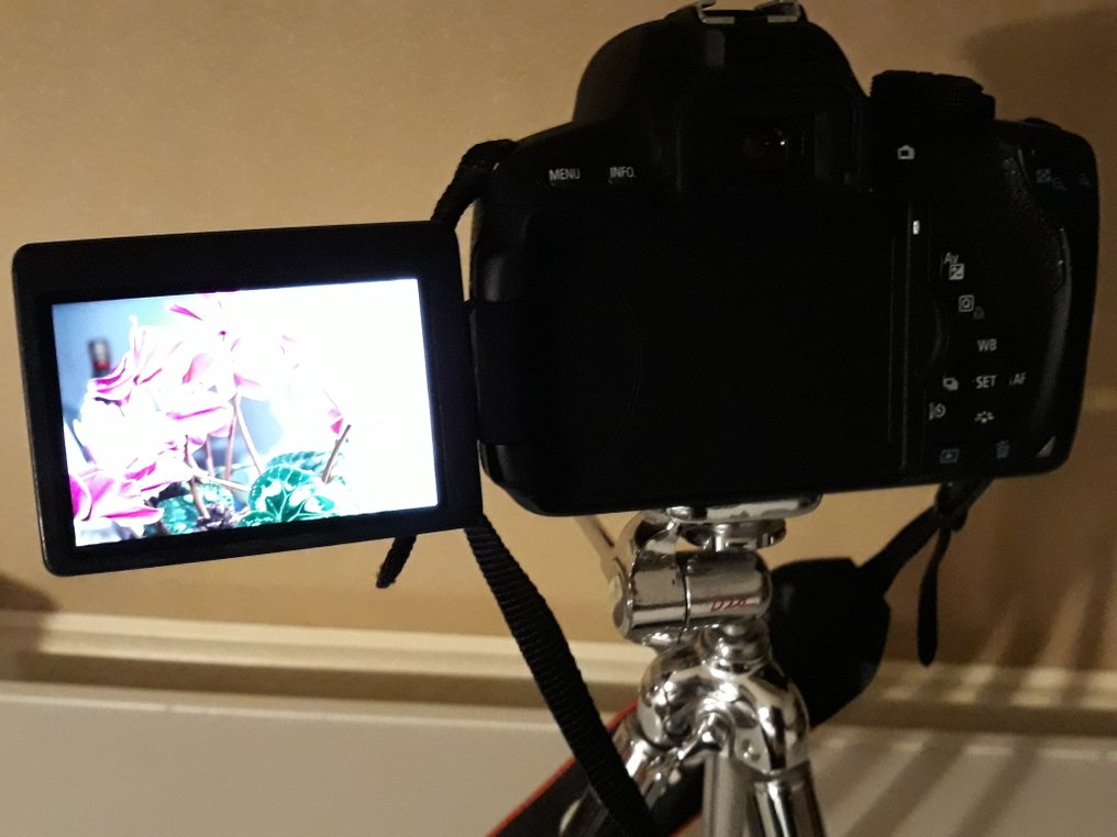 Canon EOS 700D + EF-S 18-55 IS STM Cameră reflex digitală (DSLR) #1.0