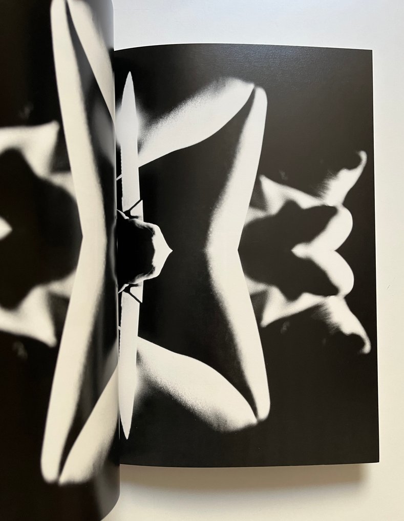 Signed; Yewn Dickson - Photographs of Betroyal - 1997 #3.2