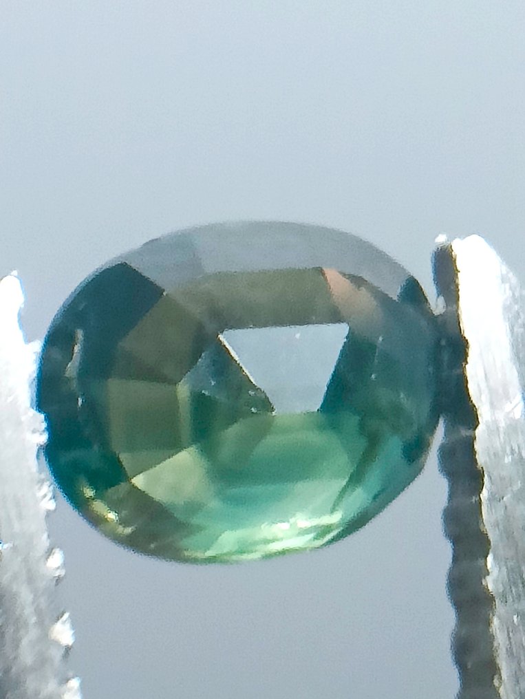 没有保留价 - 1 pcs  绿色, 蓝色, 黄色, 多色 蓝宝石  - 1.38 ct - 安特卫普宝石检测实验室（ALGT） #1.0