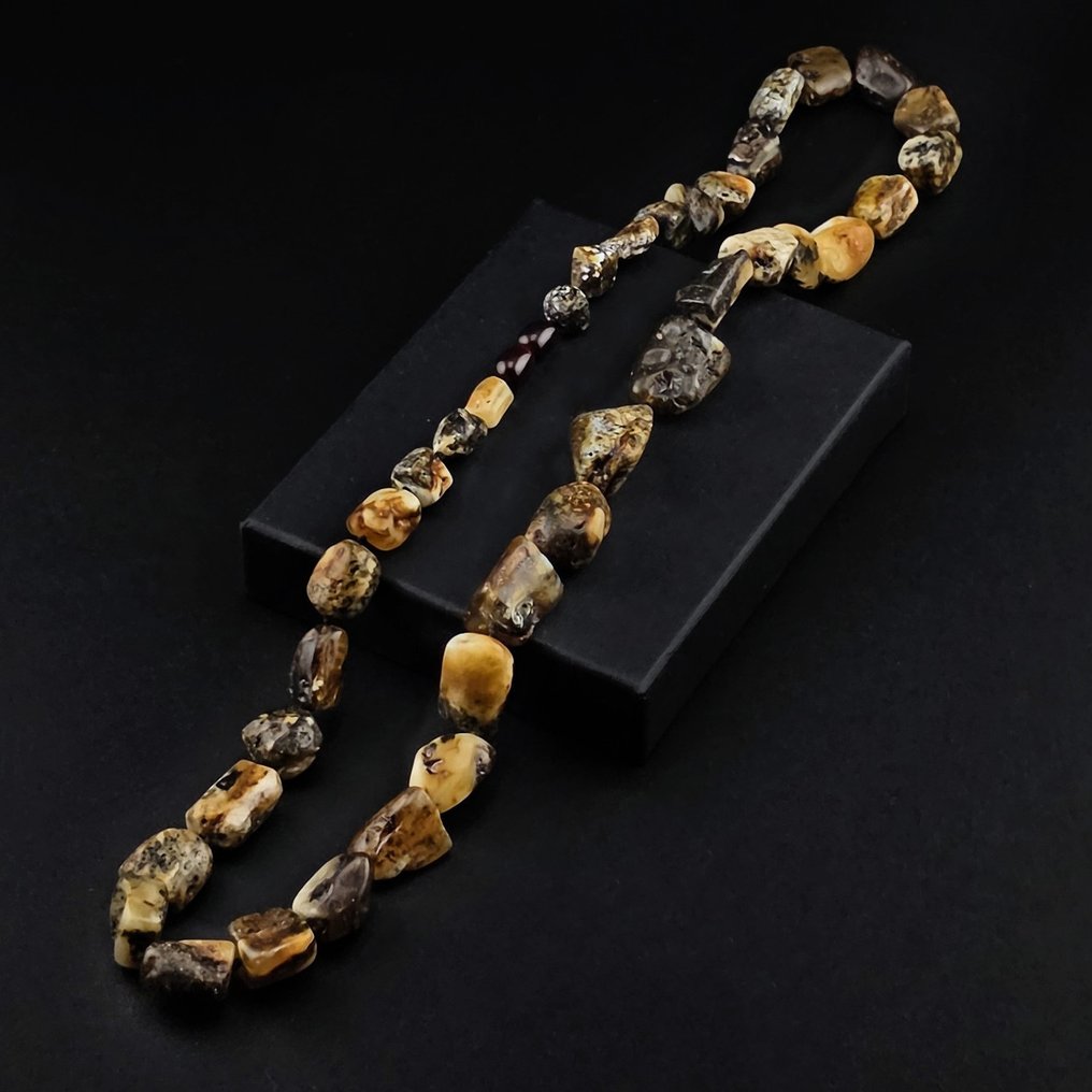 正宗波罗的海琥珀块项链——具有纹理化化石表面的古老有机之美 - 琥珀  (沒有保留價) #2.1