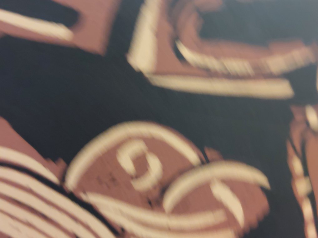 Pablo Picasso (1881-1973) - Liegende und Picador #2.1