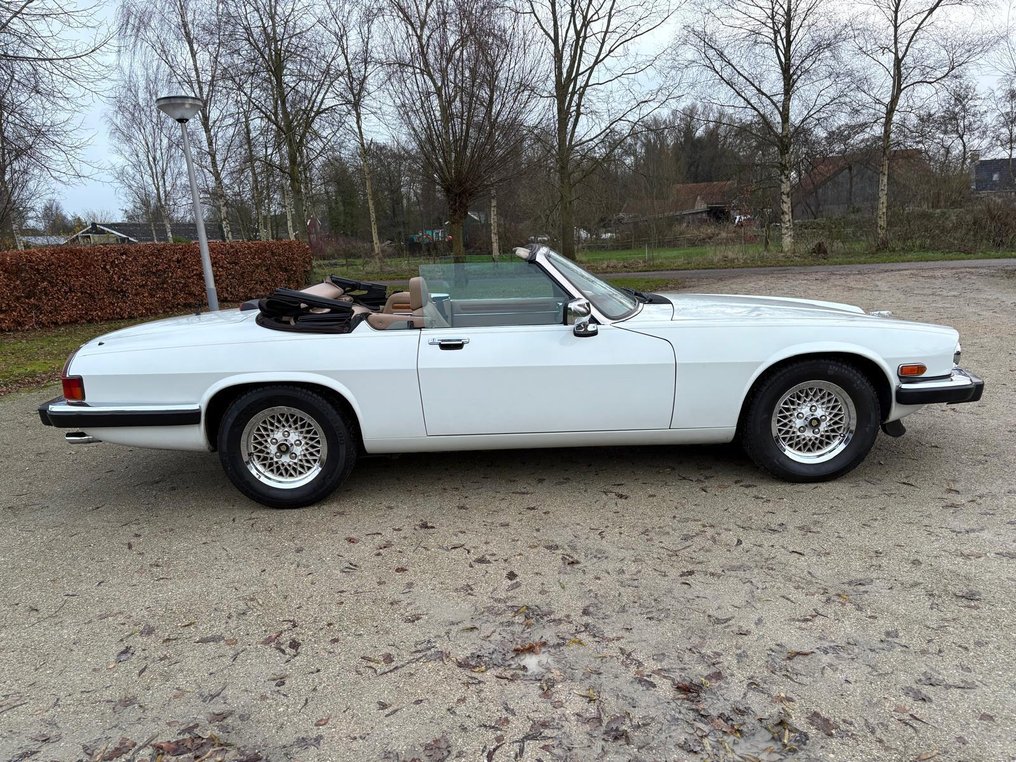 Jaguar - XJS 5.3 V12 - 1989 #3.2