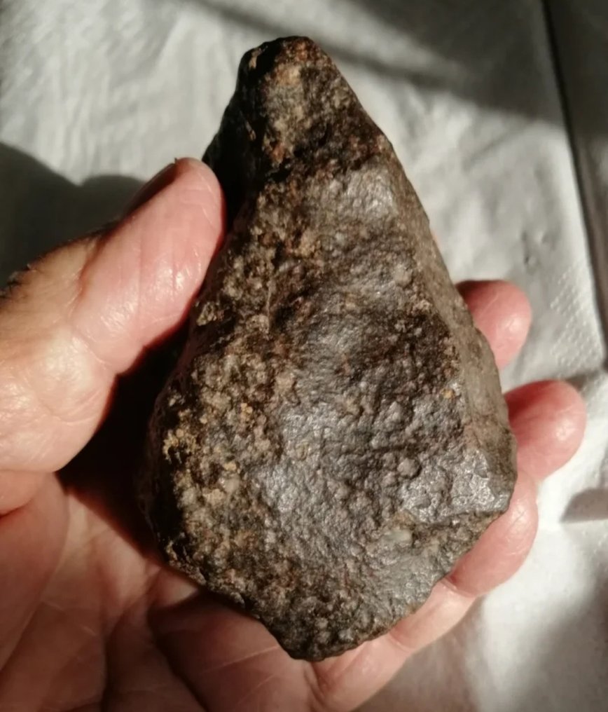 NWA nedescriptată condrită tip H5, breccie topită. Specimen - Înălțime: 9.3 cm - Lățime: 6.9 cm - 450 g #1.0