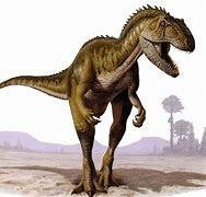 Dinosaur - Fossil tann - Abelisaurus - 21 mm - 9 mm  (Ingen reservasjonspris) #3.2