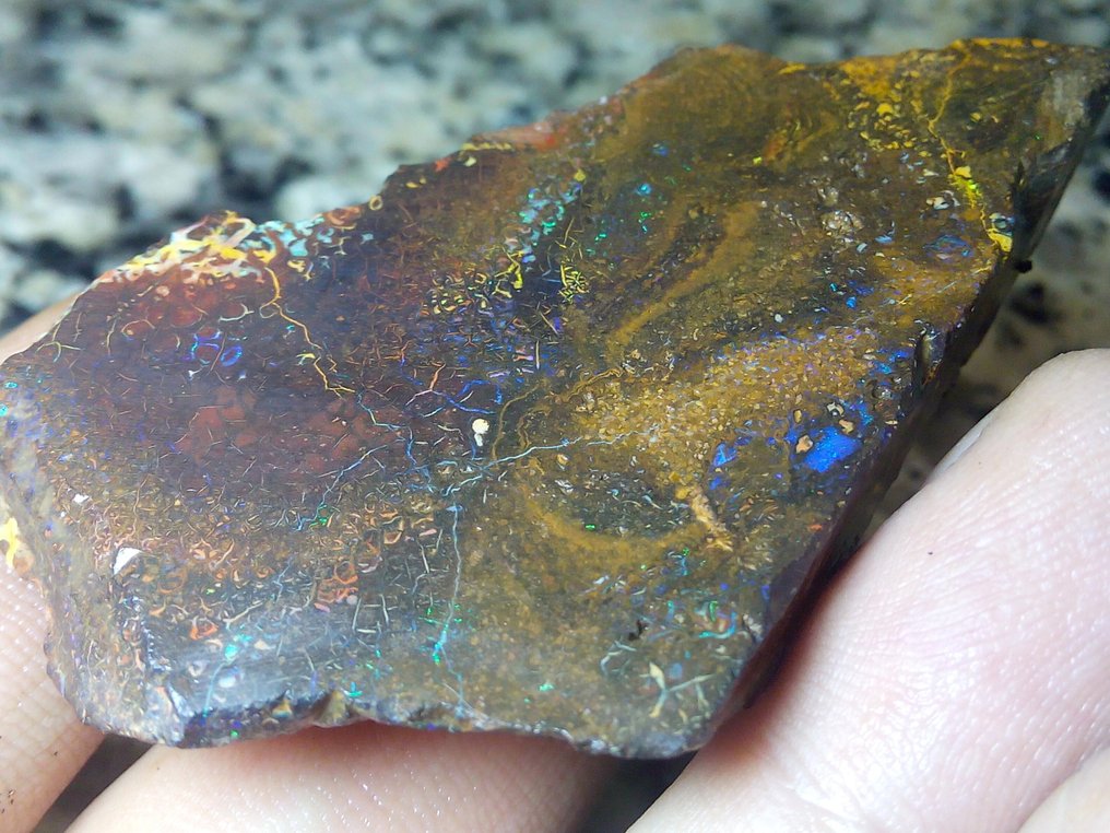 258,2 ct - Smuk stor australsk Boulder Opal. Rough - Multifarvet!- 51.64 g #2.1