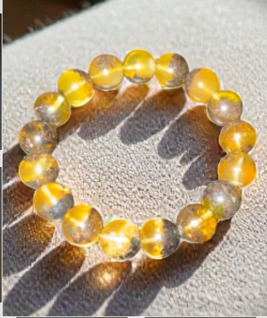 波罗的海琥珀 - 琥珀  (没有保留价) #1.0