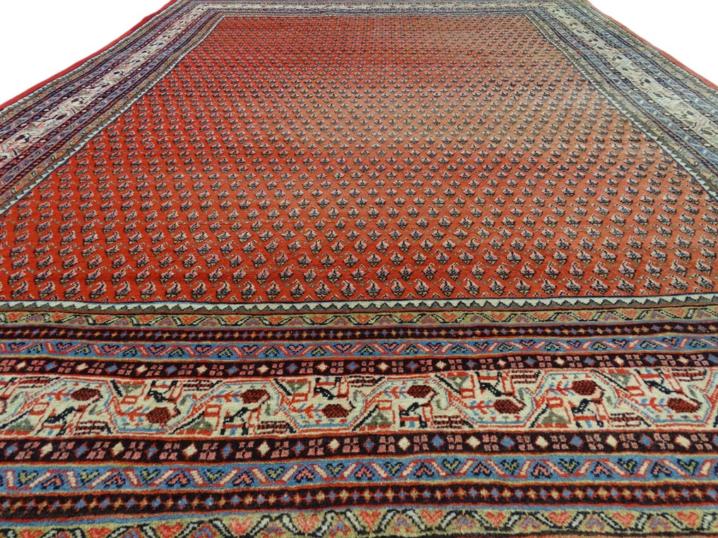 已清洁的 - 小地毯 - 322 cm - 216 cm #1.0